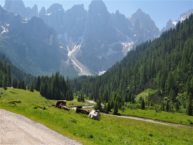 Partendo dal basso della val Venegia, si vedono le pale di san Martino, e, sulle azzurrissime montagne, il ghiacciaio.